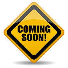 LIP GLOSS WANDS - DISB003